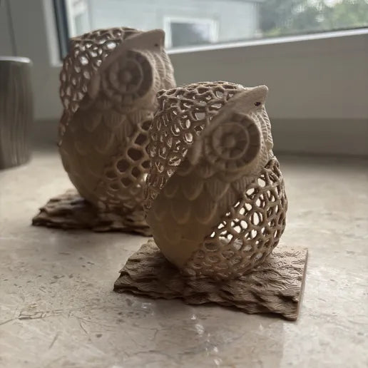 Voronoi Eule